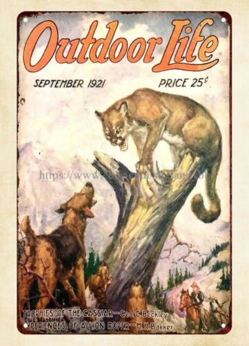buy wall 1921 OUTDOOR LIFE mag - огляд і ціна Hunting Dog Outdoor