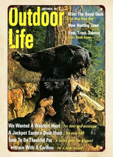 office wall decor 1967 Outdoor - огляд і ціна Hunting Dog Outdoor